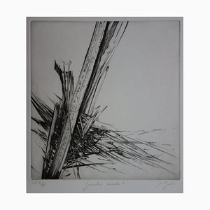 Géometrie Variable Engraving by Nathalie Grall