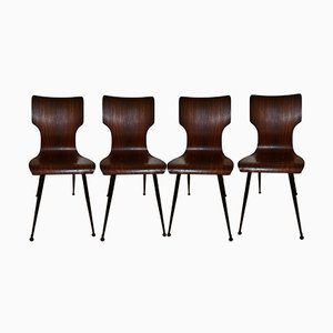 Bentwood Dining Chairs by Carlo Ratti for Società Compensati Curvi, 1950s, Set of 4
