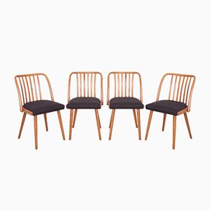 Dining Chairs by Antonín Šuman for TON, 1960s, Set of 4