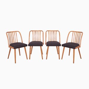 Sillas de comedor de Antonín Šuman para TON, años 60. Juego de 4