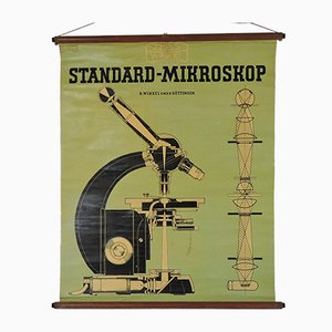 Vintage Standar Microscope Wall Chart from Zeiss Winkel, 1940s