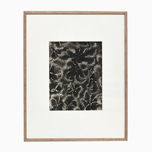 Black & White Flower Photogravure Botanic Photography by Karl Blossfeldt, 1942