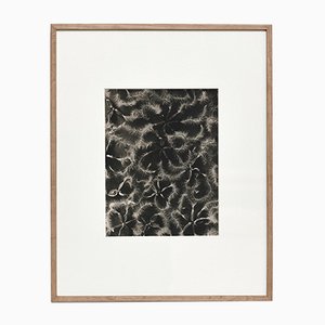Fotografía botánica de fotograbado en blanco y negro de Karl Blossfeldt, 1942