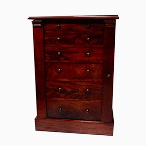 Antique Victorian Mahogany Wellington Dresser