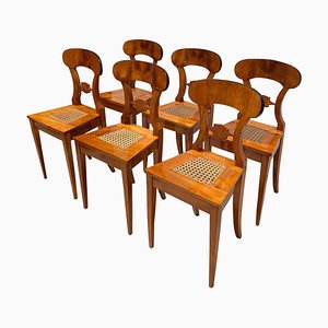 Biedermeier Board Chairs in Cherry Veneer and Mesh, Vienna, 1830s, Set of 6