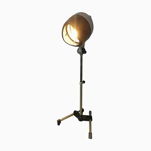 Französische Industrie Stehlampe, 1950er