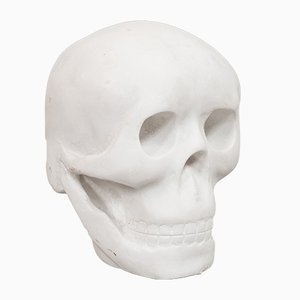 Weißer englischer Marmor Skull Briefbeschwerer, 1980er