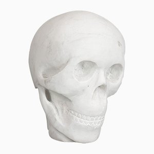 Vintage English White Marble Skull Paperweight, 1980s