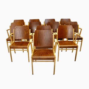 Fauteuils Empilables Mid-Century par Franz Schuster, Autriche, Set de 12