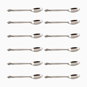 Acanthus Sterling Silver Coffee Spoons from Georg Jensen, 1940s, Set of 12