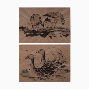 Deux Études d'Oiseaux par Leif Rydeng, 1961