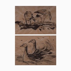 Two Bird Studies by Leif Rydeng, 1961