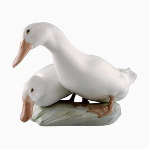 Figure Group of Porcelain of White Ducks No. 412 from Royal Copenhagen, 20th Century