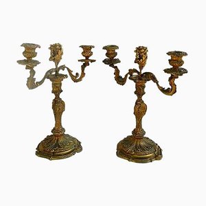 French Louis XV Candelabra Ormolu Gilt Bronze Candleholders, 1850s, Set of 2