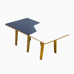 B14 Multi Table by Cees Braakman for Pastoe, 1950s