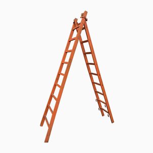 Vintage French Ladder, 1920s