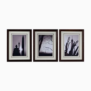 Photograph Tryptic of Paris Eiffel Tower attributed to Antonio Brigandí, Set of 3