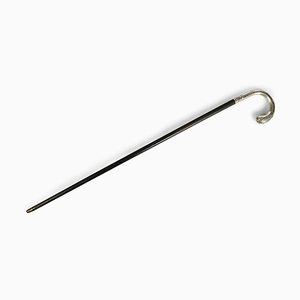 Antique Cane in Silver