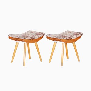 Mid-Century Hocker Set aus Eschenholz, 1960er