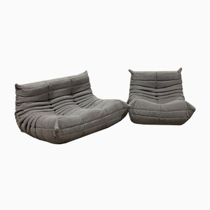 Grey Fabric Togo Sofa & Lounge Chair by Michel Ducaroy for Ligne Roset, 1970s, Set of 2