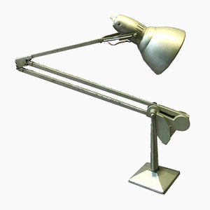 Anglepoise Table Lamp, 1950s