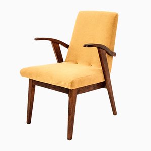 Vintage Armchair, 1960s