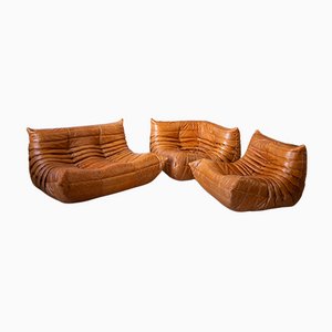 Dubai Pine Leather Togo Corner Seat, Lounge Chair & 2-Seat Sofa Set by Michel Ducaroy for Ligne Roset, 1970s, Set of 3