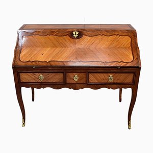 18th Century Regency Louis XV Mahogany and Rosewood Sloping Desk