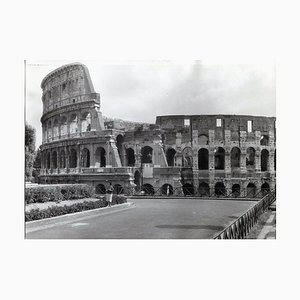 Colosseo di Roma 1954