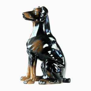 Vintage Doberman Pitcher Statue in Porcelain from Jikohera, Czechoslovakia, 1960s