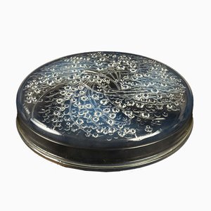 Scatola Muguets in vetro opalino di René Lalique, anni '20