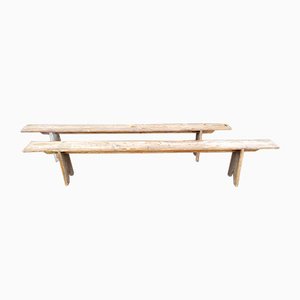 Rustic Benches, 1920s, Set of 2