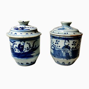 Tarros chinos de porcelana pintados a mano, siglo XVIII. Juego de 2