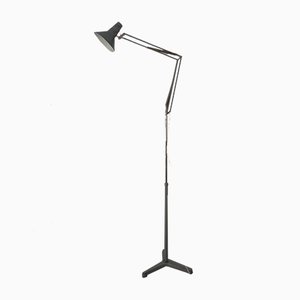 Industrial Terry Architectural Floor Lamp by H. Busquet for Hala, 1950s