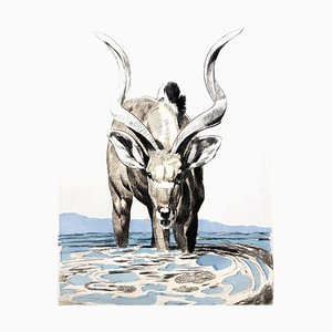Paul Jouve - Antelope - Original Engraving 1950