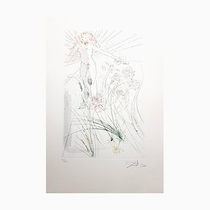 Acquatinta firmata, Salvador Dali - The Beloved Feeds Among the Lilies