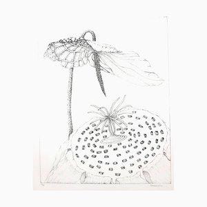 Gochka Charewicz - Herbarium - Litografía original firmada