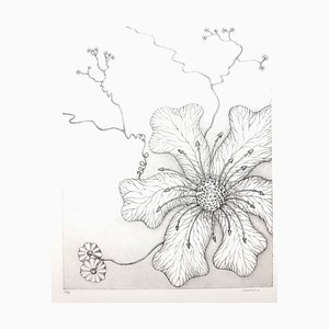 Lithographie Gochka Charewicz - Herbarium - Lithographie Signée Originale