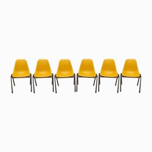 Chaises Orly Vintage par Bruno Pollak, 1970s, Set de 6