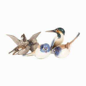 Figurines Oiseaux Vintage en Porcelaine par Dahl Jensen pour Bing & Grondahl, Danemark, 1960s, Set de 4