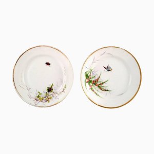 Antique Hand-Painted Butterfly & Insect Plates from Bing & Grøndahl, Set of 2