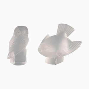 Owl and Bird in Clear Art Glass by R. Lalique, 1960s, Set of 2