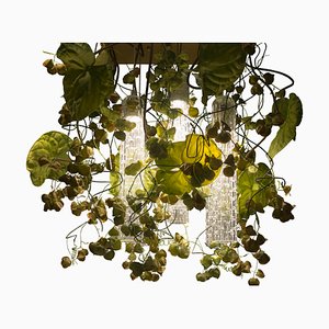 Lampadario Flower Power con vetro di Murano e fiori artificiali di Anthurium e Physalis di VGnewtrend
