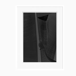 Black Leaf Oversize Archival Pigment Print Framed in White by Stuart Möller