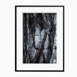 Imprimé d'Encre de Bureau Conifer Bark Oversize Pigment en Noir par Tim Graham