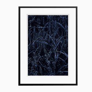 Impresión Dark Fern Oversize Archival Pigment enmarcada en negro de Stuart Möller