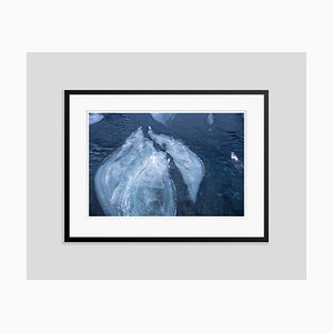 Ice River Oversize Archival Pigment Print Framed in Black by Tim Graham