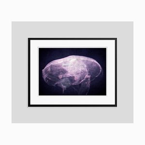 The Dreaming Oversize Archival Pigment Print Framed in Black by Stuart Möller