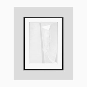 White Leaf Oversize Archival Pigment Print Framed in Black by Stuart Möller