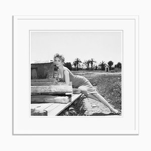 Brigitte Bardot Archival Pigment Print in Weiß von Bettmann gestaltet